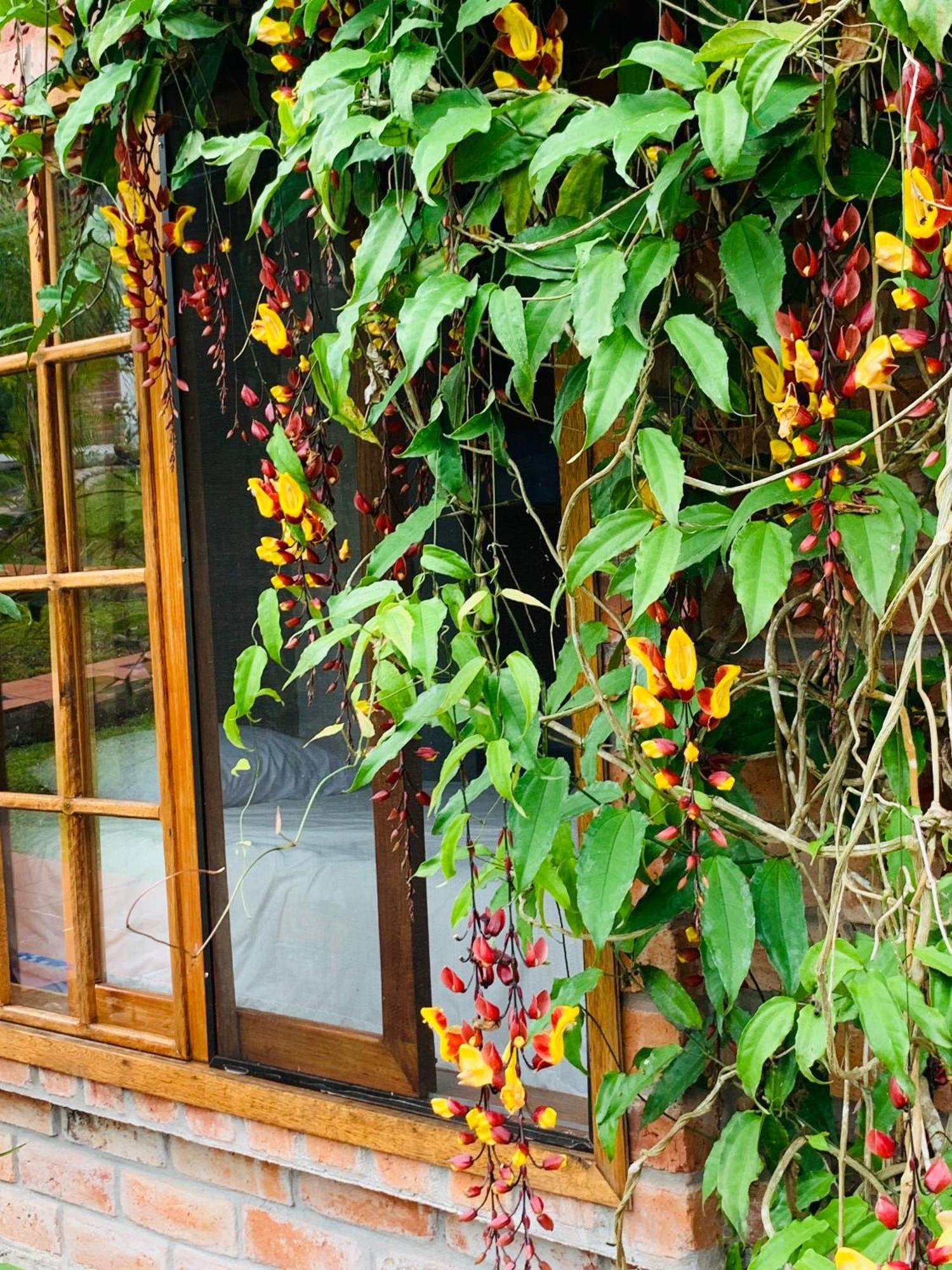 La Casa del Rio B&B Puyo Exterior foto